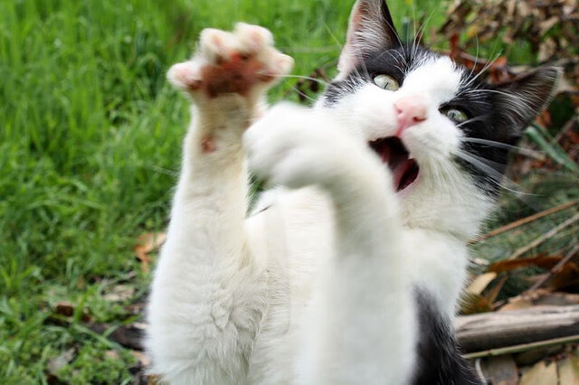 中国足球产业界开启创新创业大赛,足球创新创业计划书