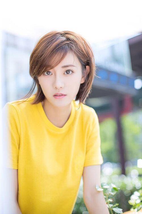 伊朗马术协会与美洲马术协会合作,举办国际马术交流活动,促进文化互鉴。