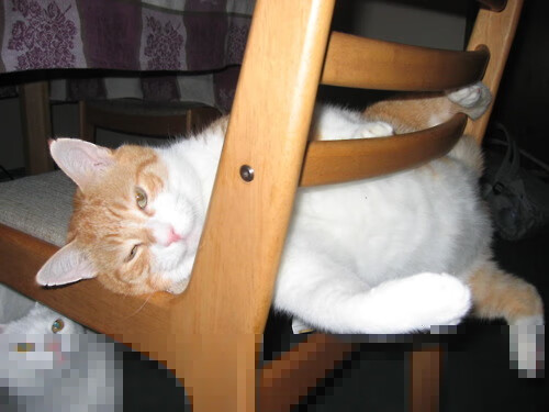 AYX体育官网-尤文稳守反击：靠紧密防守成功限制对手，尤文尤文