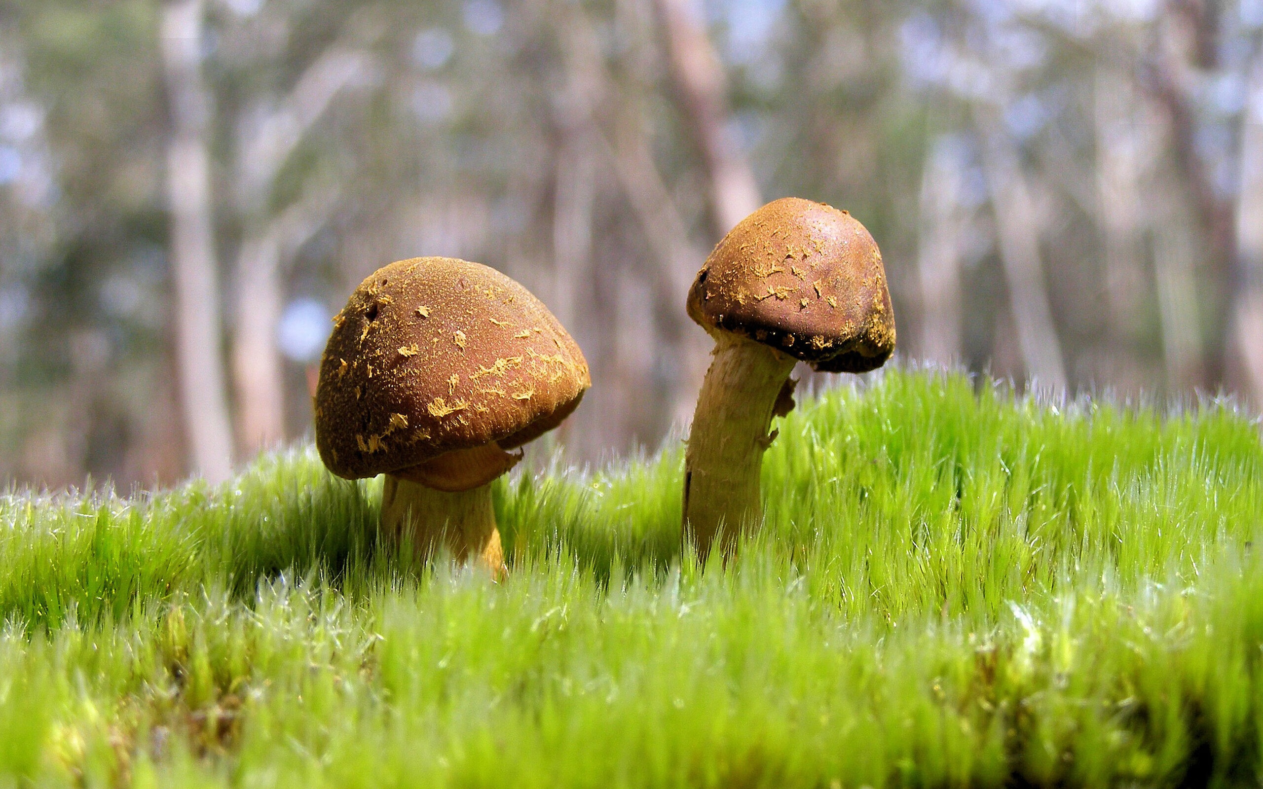 巴希尔·阿卜迪在马拉松比赛中获得银牌埃夫内普尔在男子计时赛中以36分12.16秒夺金