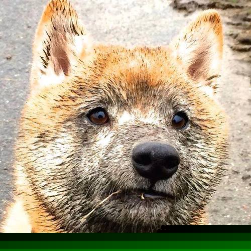 爱游戏平台-成都蓉城主场连胜，士气高涨，成都蓉城主场门票