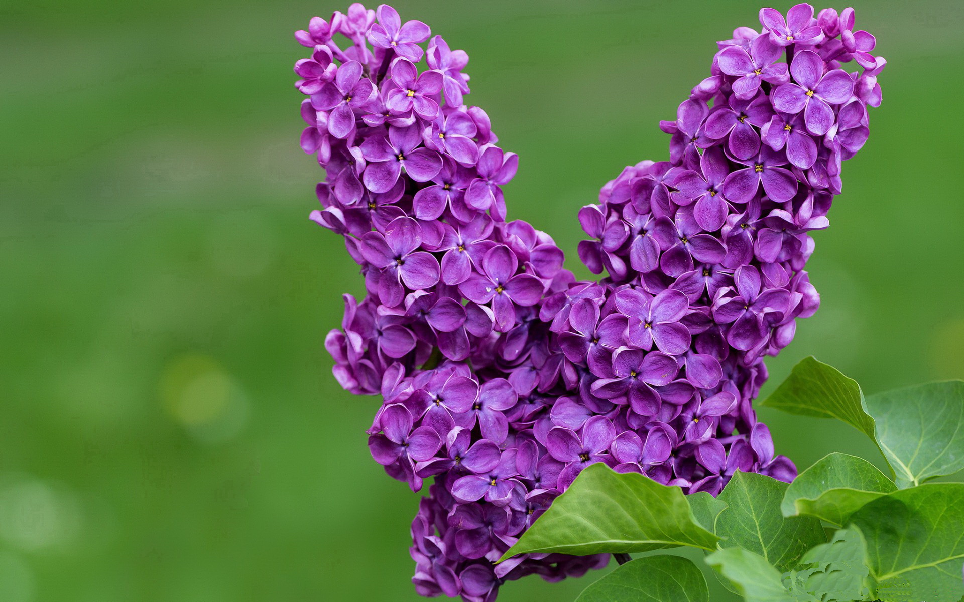 终场“绝杀”瞬间点燃欧冠激情,永载史册!,欧冠终极球场