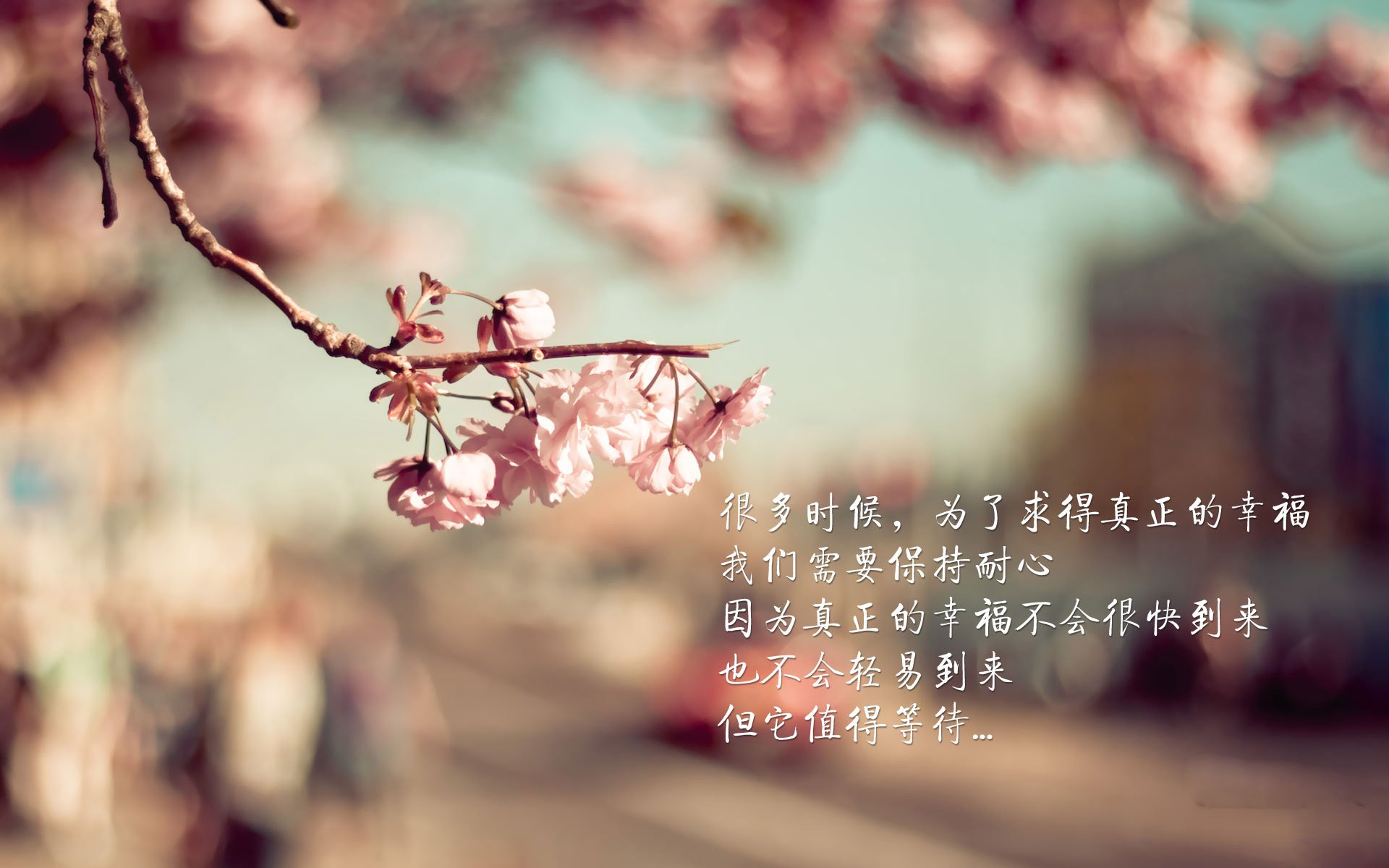 越野摩托车极限赛，挑战荒野的极致体验，越野摩托车比赛