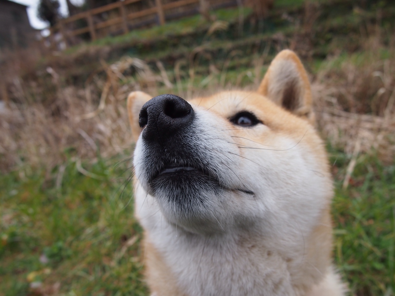 中国足球场馆智能化建设提速,中国在建专业足球场视频