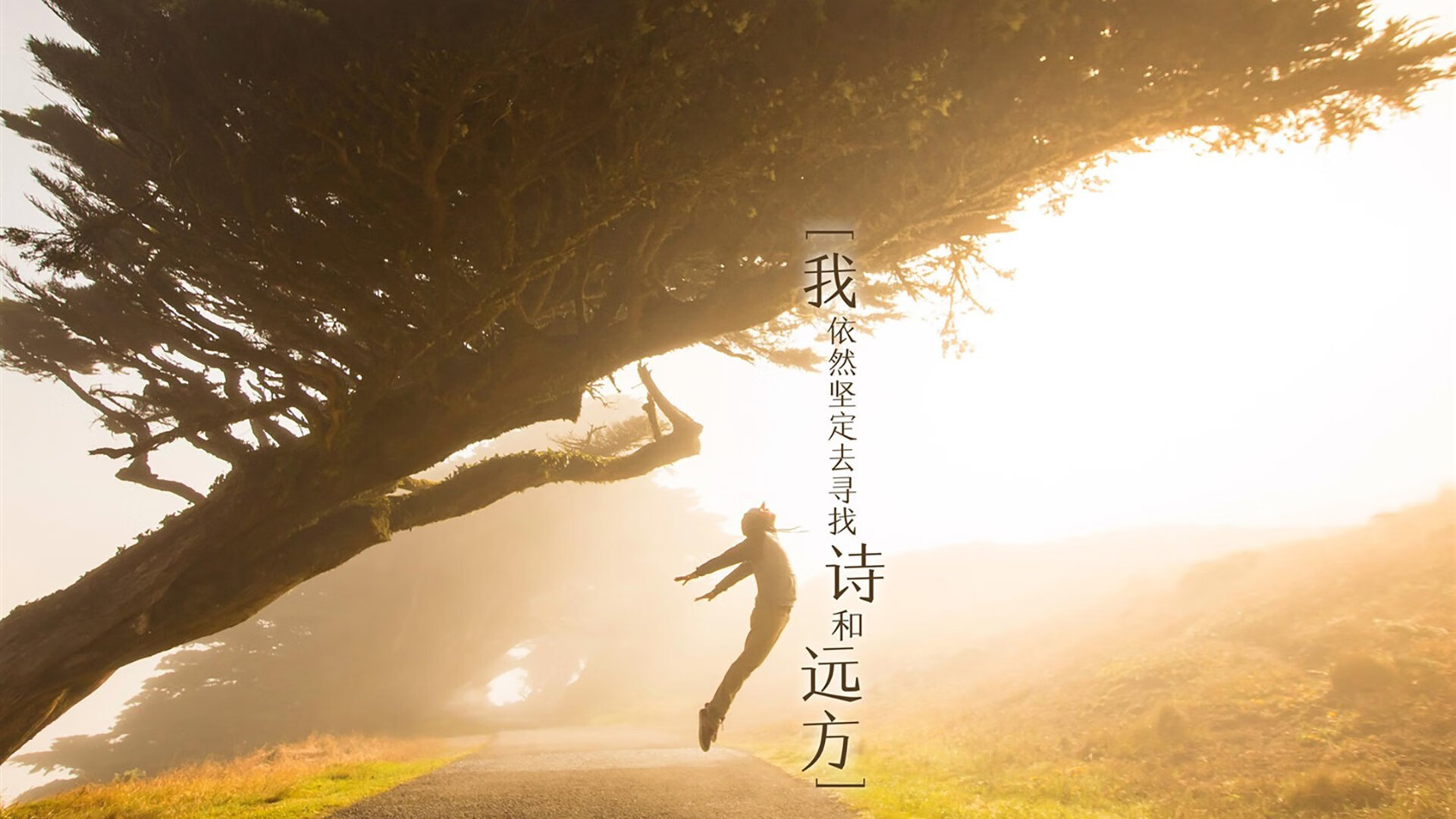 德国男子举重选手在67公斤级比赛中获得银牌，德国举重奥运冠军