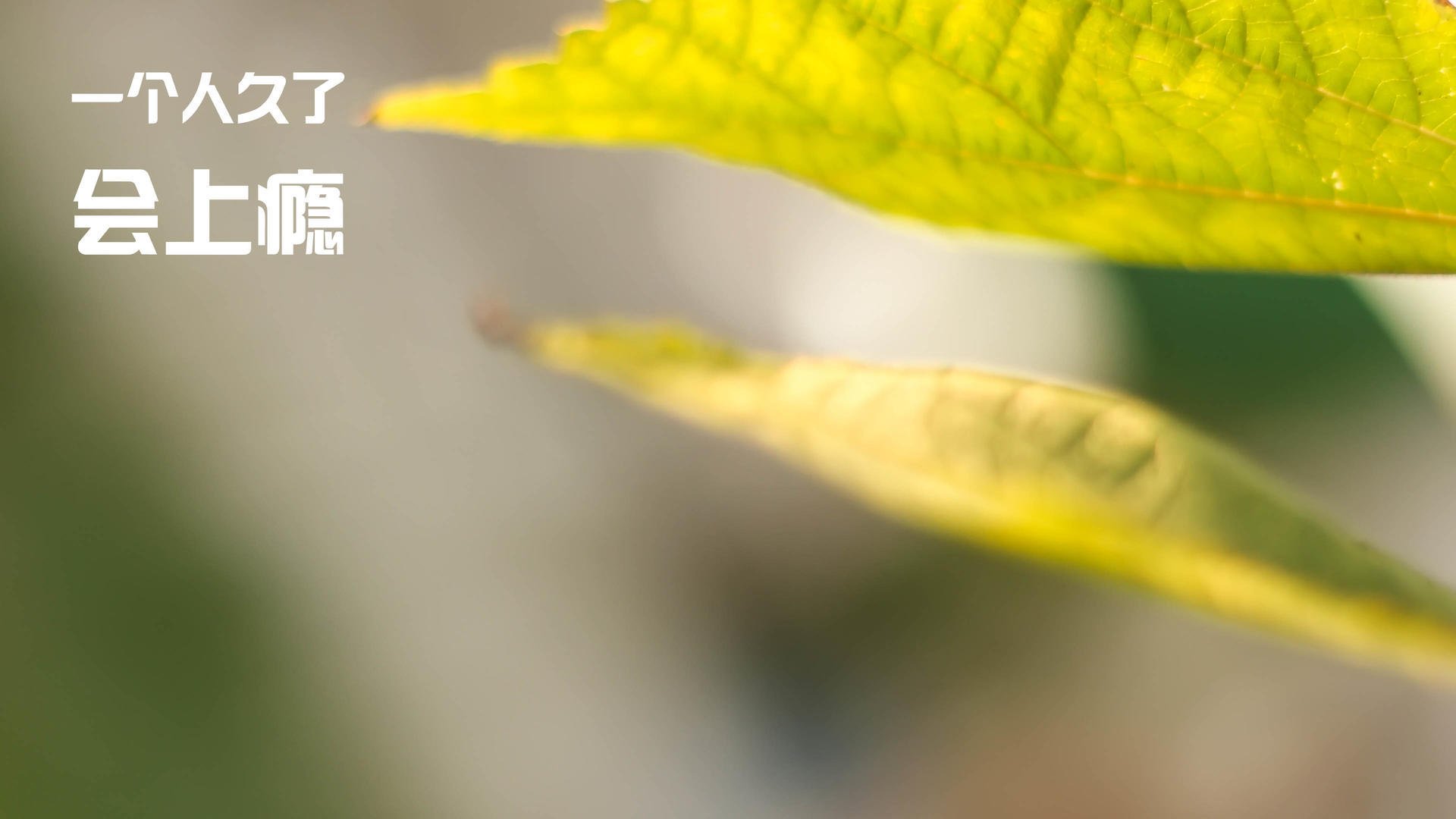 爱游戏体育（AYX）官方APP下载-篮球运动员身体素质提升，篮球运动员的身体素质训练包括哪些