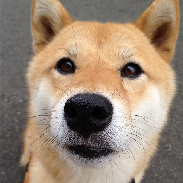 爱游戏体育app-胜负悬念令人紧张，球员倾尽全力，胜负胜负