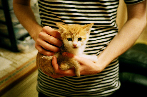 爱游戏娱乐平台-联盟是否应评估球员社区形象影响