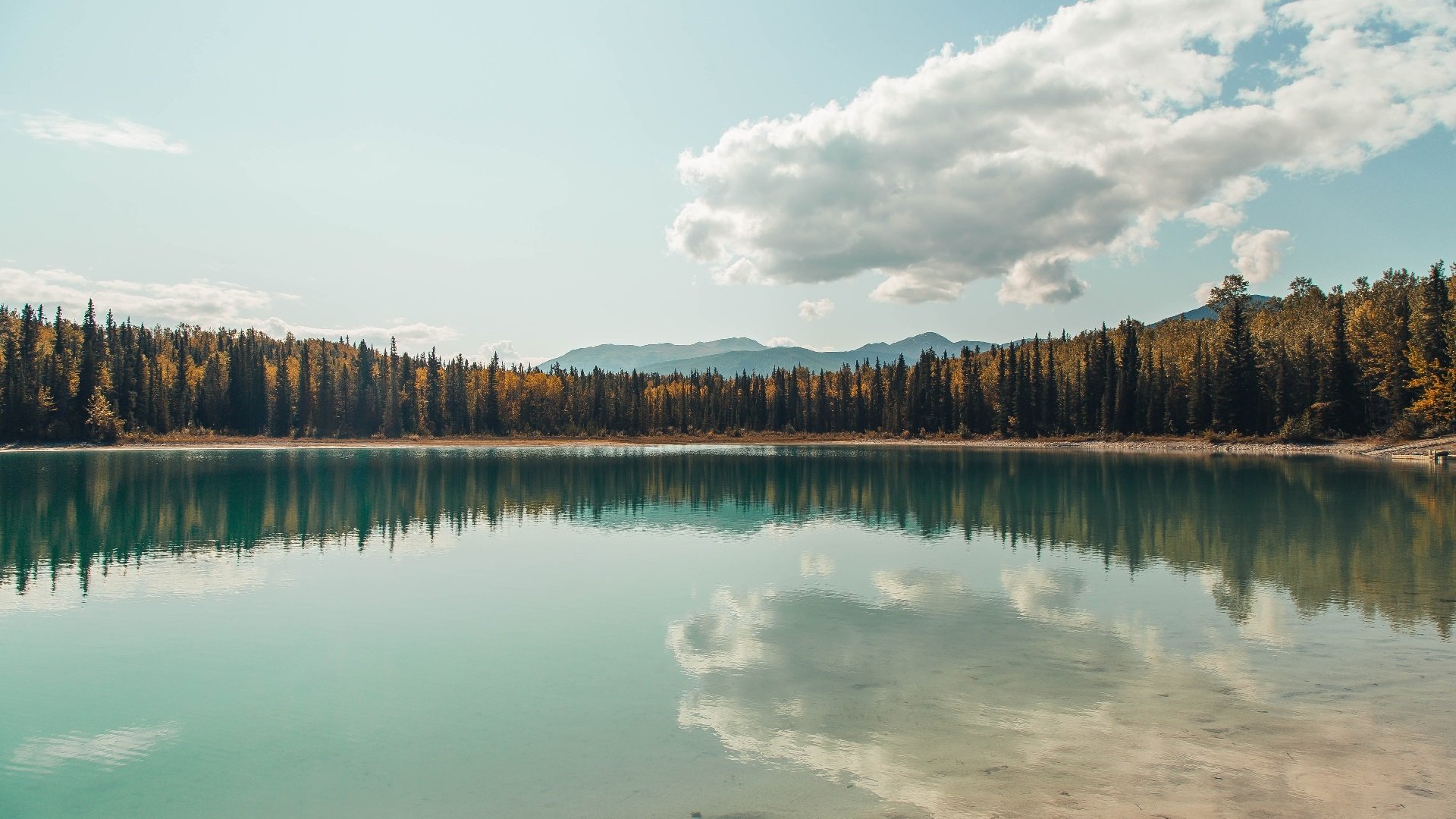 谢菲联门将神勇扑救,成为球队守望之星,谢菲联主帅