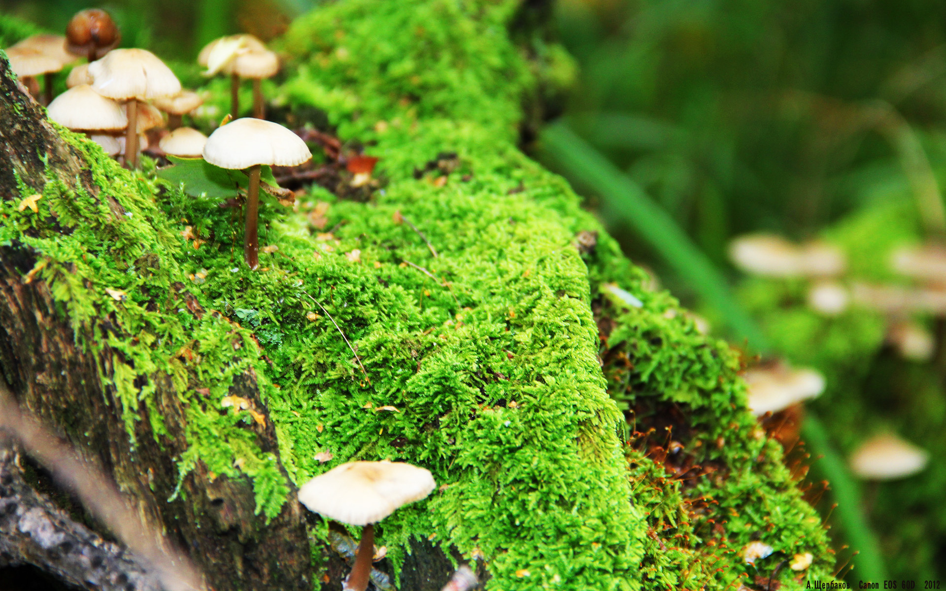 爱游戏娱乐-阿贾克斯球队备战决赛，全队士气高昂，阿贾克斯赛事