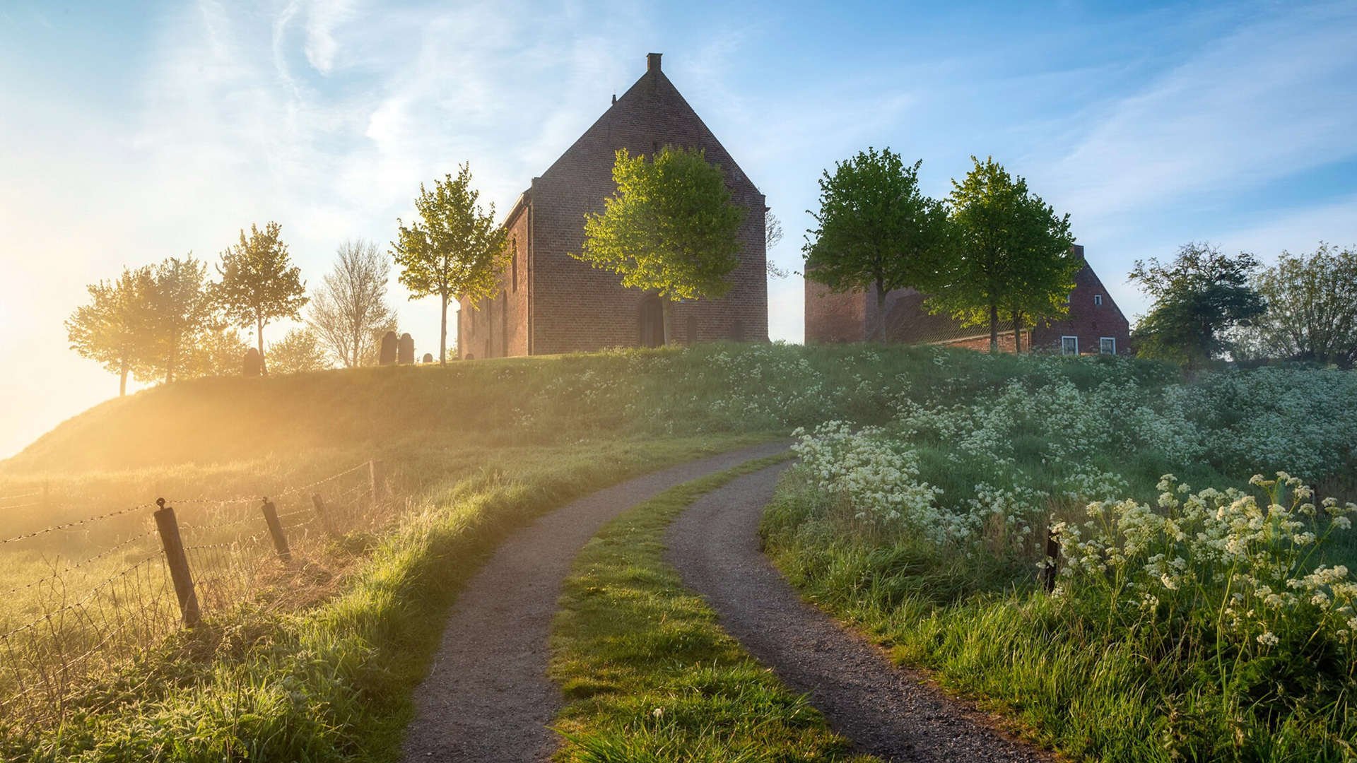 中国青少年篮球政策执行及效果追踪研究,中国青少年篮球训练指导手册