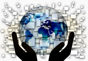 爱游戏官网-全国电子竞技公开赛上海收官，全国电子竞技大赛官网2020