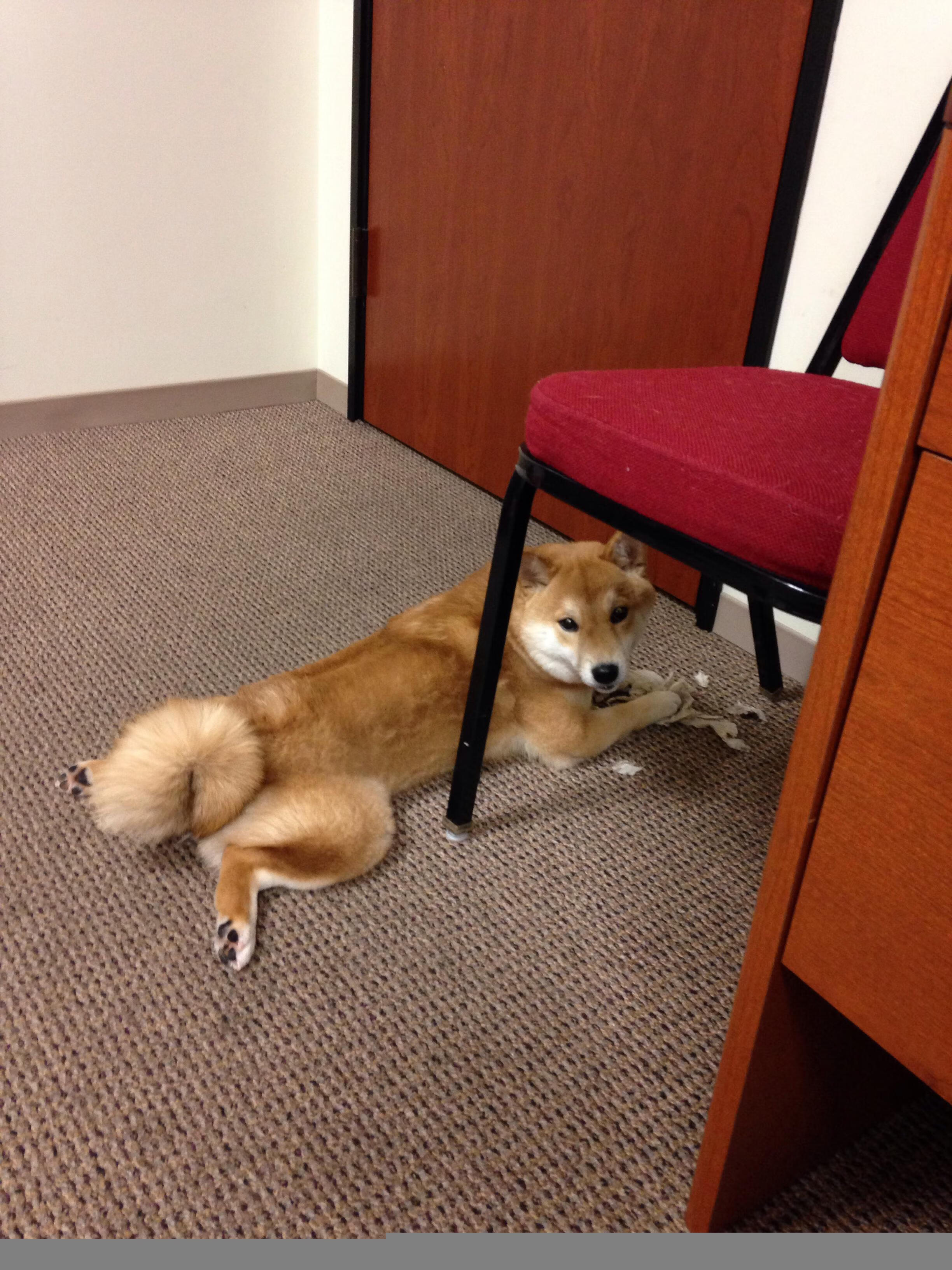 爱游戏娱乐-西甲防守转型后对中场拦截次数的影响研究，西甲收官战