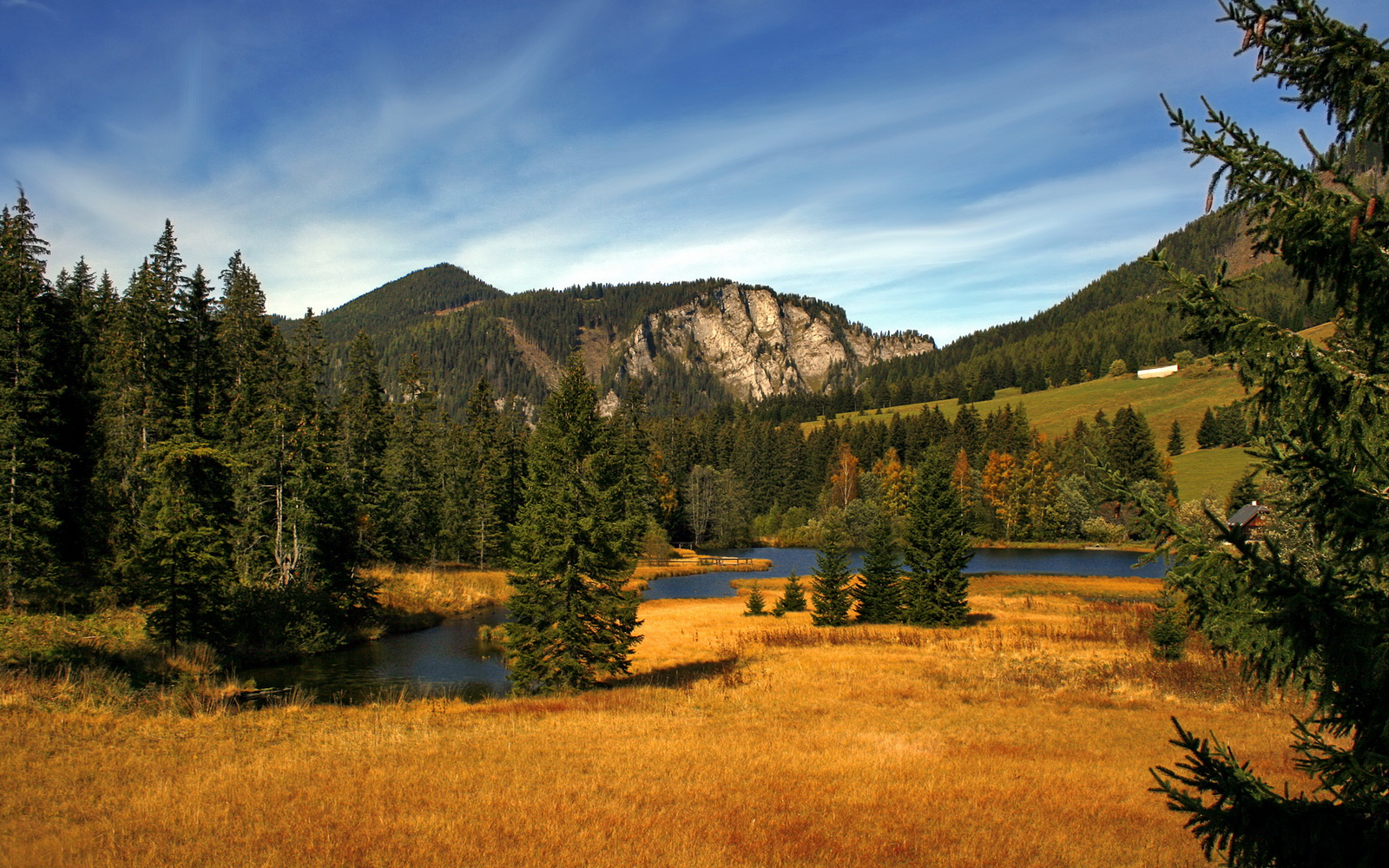 “世界武术冠军巅峰对决，高新体育中心剑拔弩张”
