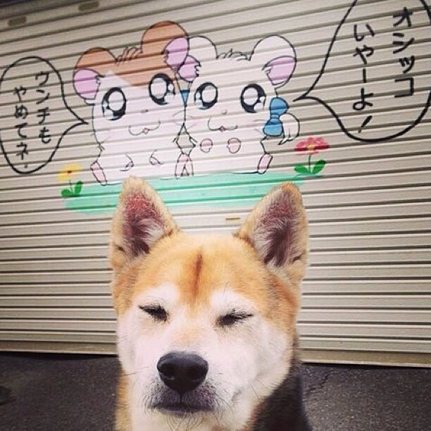 爱游戏 电竞-中国女篮注重团队合作，中国女篮带队