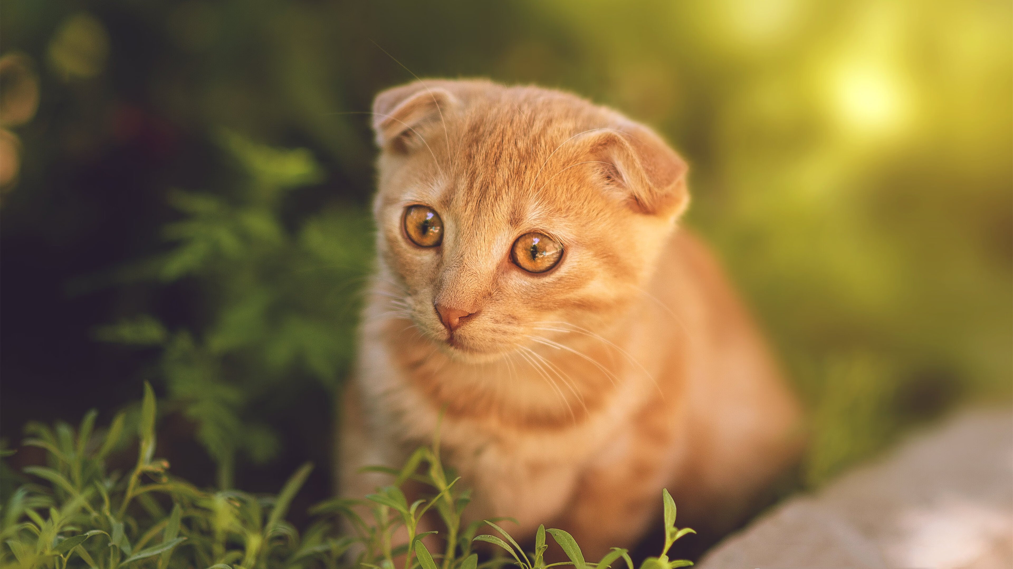 爱游戏体育APP下载-亚冠联赛精彩比赛激发球迷热情，亚冠联赛消息