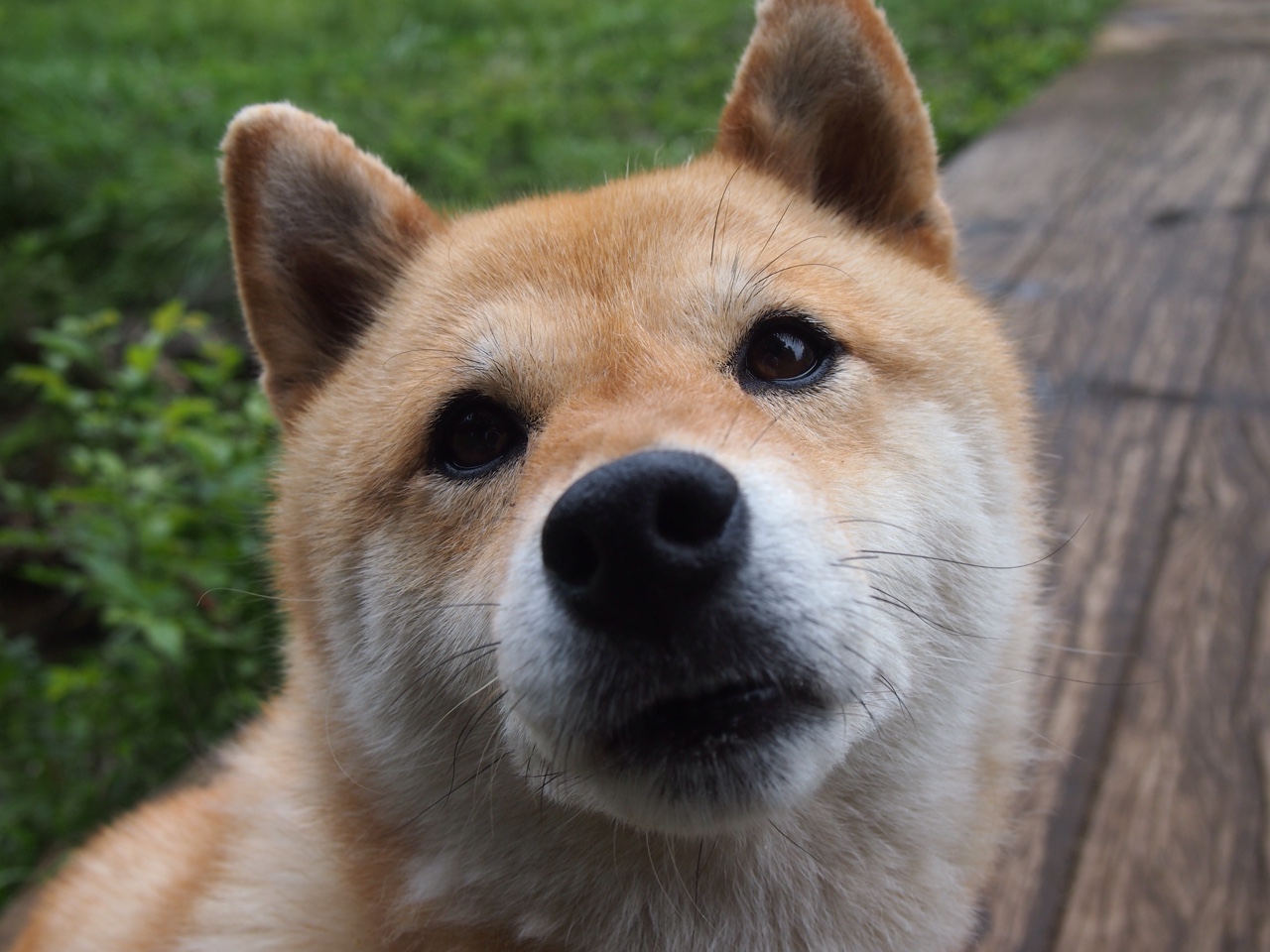 校园足球文化活动被边缘化，校园足球文化活动有哪些