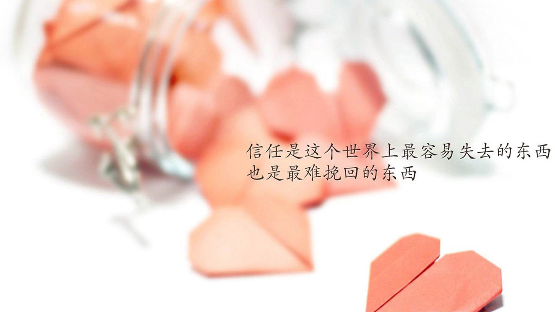 冬训营提升全国青少年竞技水平，青少年冬令营,火热招生中!