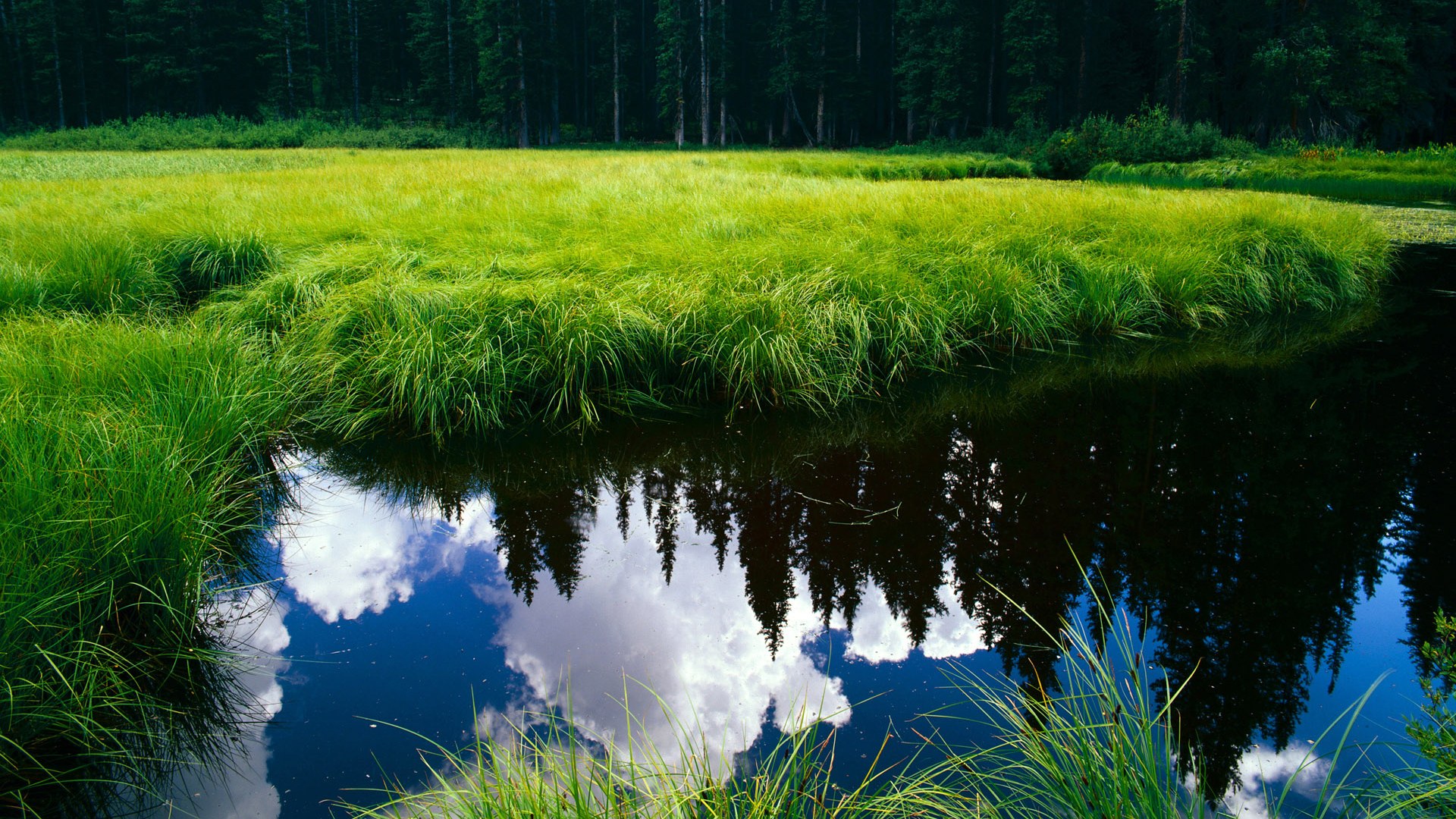 爱游戏 电竞-弗朗索瓦·霍尔茨豪伊泽：南非队的战术大师，关键时刻精准调整