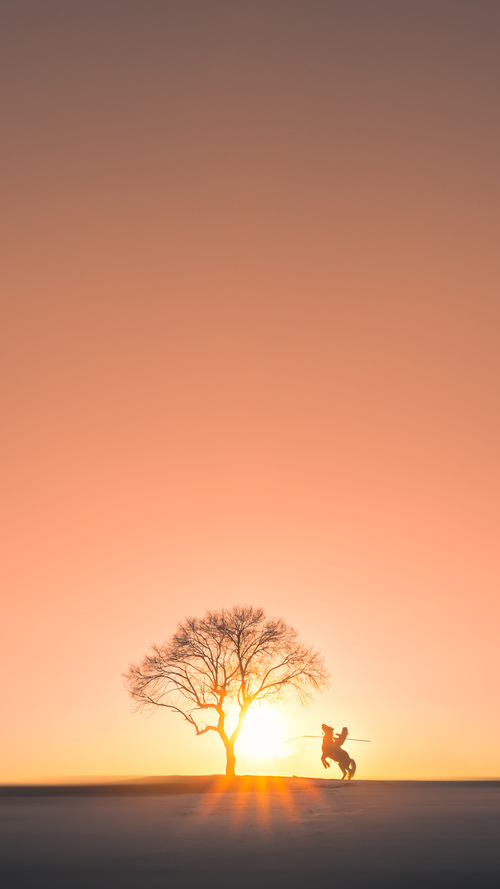 AYX SPORTS-德甲风起云涌：速度、力量与智慧的奇妙结合