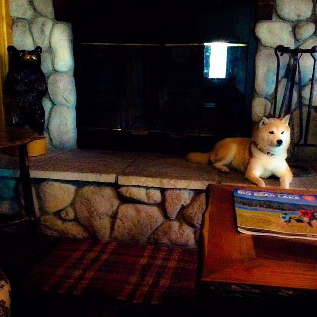 爱游戏体育官方网站-意甲爆发瞬间：速度、技术、激情汇聚一堂！，意甲集锦