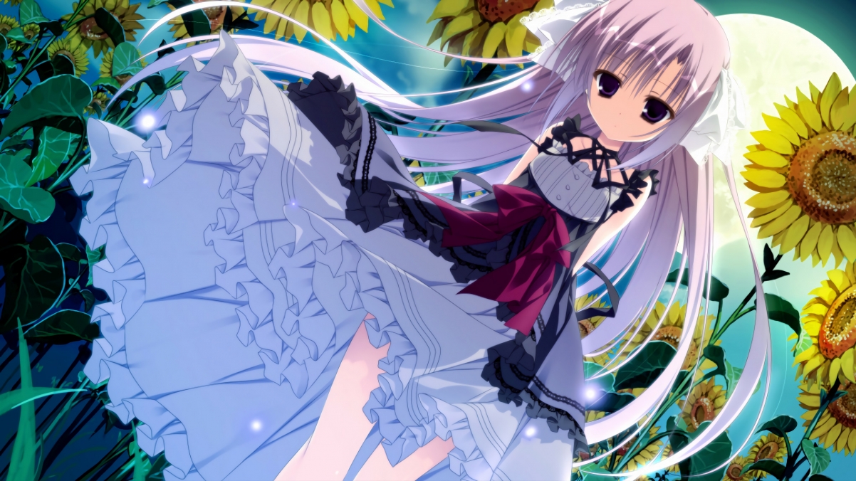 球队与科技公司合作开发投篮追踪系统，投篮技术分析