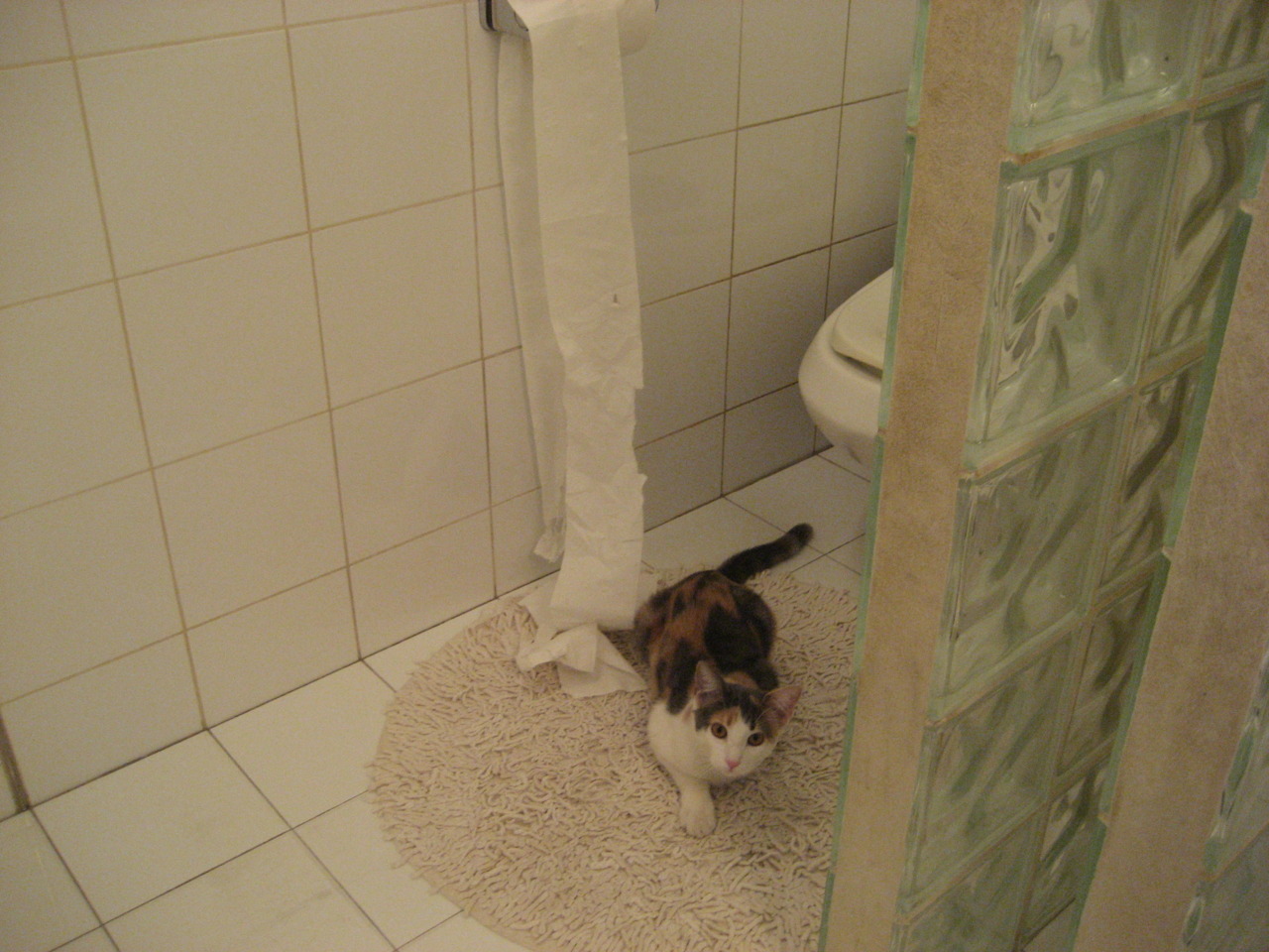 爱游戏体育app-皇马青训再造奇迹，新星频出