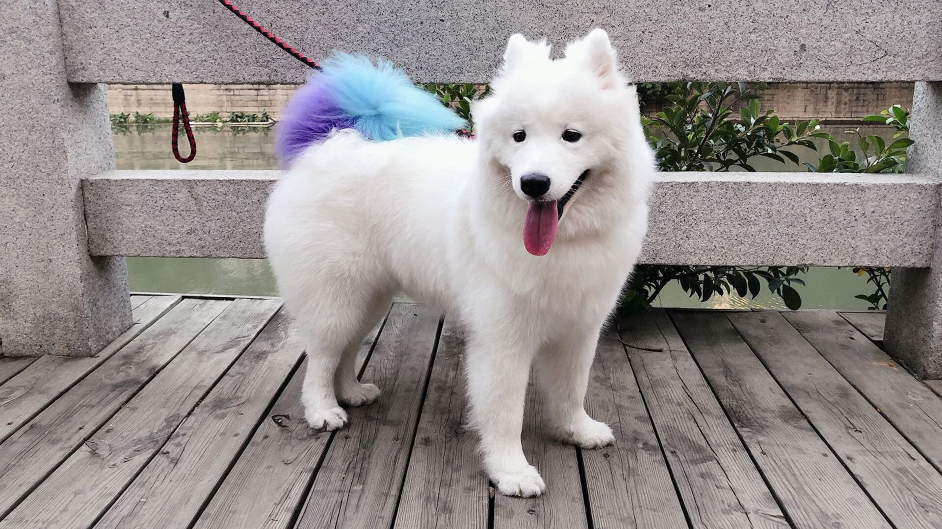 绿色低碳足球运动设备在全国青少年中普及,绿色低碳活动有哪些