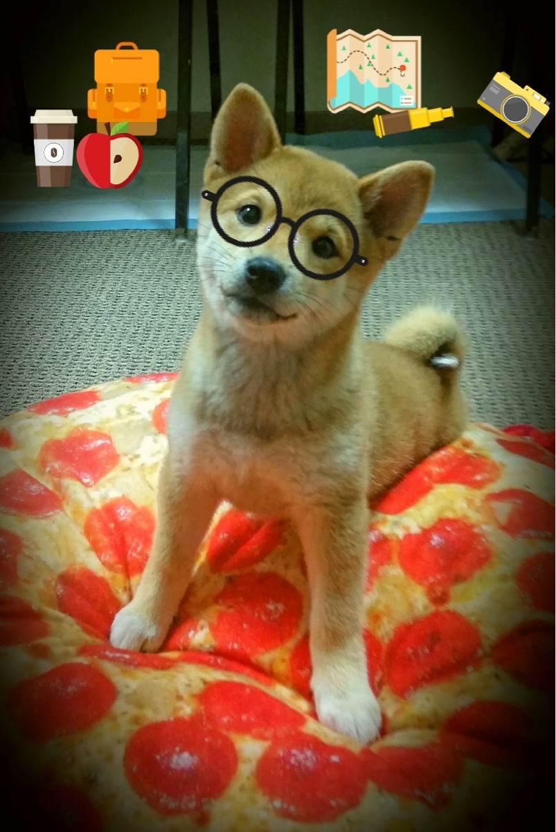 爱游戏体育app-自由泳短程摩纳哥速度惊人，200自由泳视频